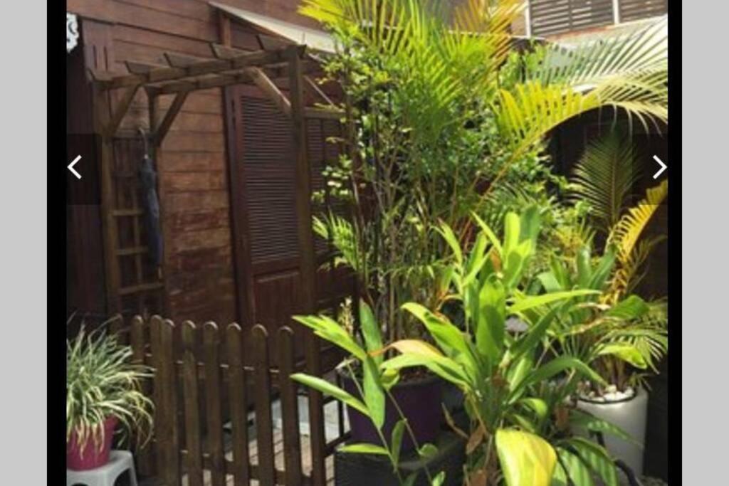 Villa A 1Mn A Pied De La Plage , Piscine Privee 圣皮埃尔 外观 照片